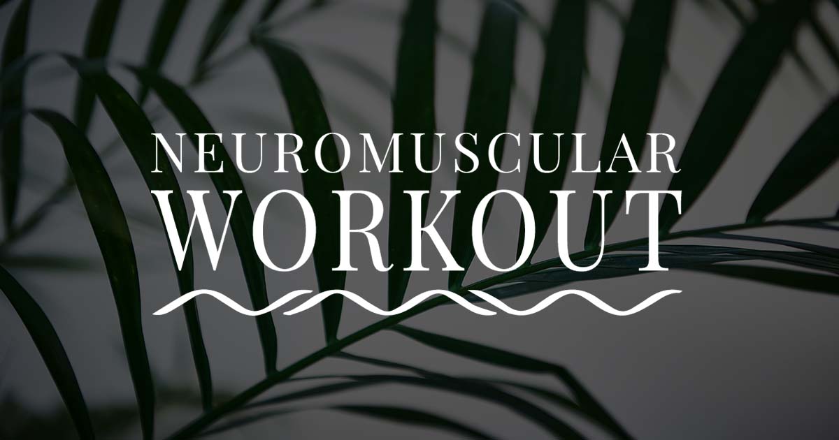 The meaning of Neuromuscular Workout or NeWo
