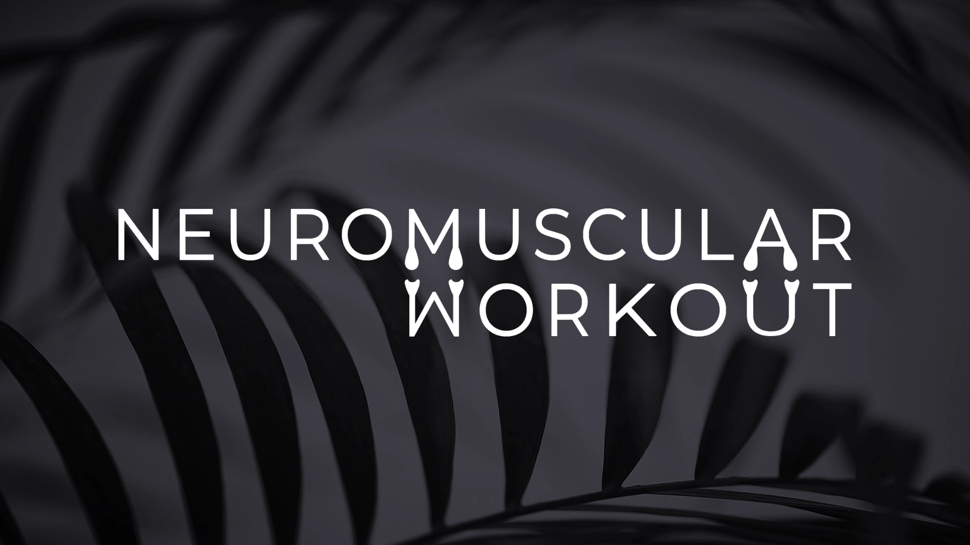 Betydningen af Neuromuscular Workout eller NeWo
